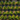 Aerial view of a palm tree plantation with rows of green palm trees.