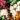 Brown glass bottle with dropper against a blurred natural background