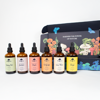 Mogo's 6 Tincture Bundle