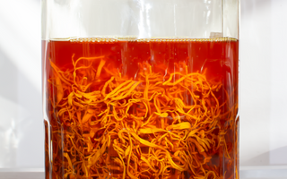 11 Questions About Mushroom Extracts Answered