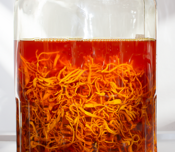 11 Questions About Mushroom Extracts Answered