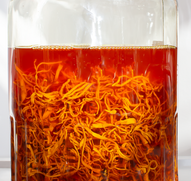 11 Questions About Mushroom Extracts Answered