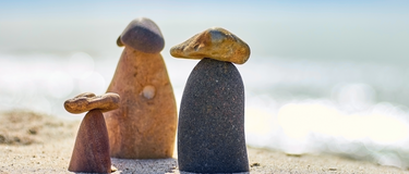Travel Smart, Feel Great: The 3 Mushroom Tinctures to Take on Your Travels