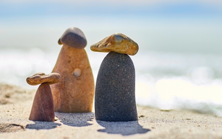 Travel Smart, Feel Great: The 3 Mushroom Tinctures to Take on Your Travels