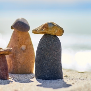 Travel Smart, Feel Great: The 3 Mushroom Tinctures to Take on Your Travels