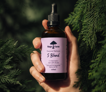 Why Is Mogo Farm’s 5 Mushroom Blend the Best Mushroom Supplement for Everyday Wellness?