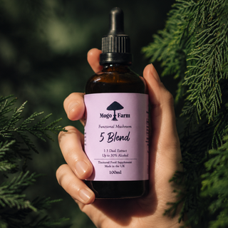 Why Is Mogo Farm’s 5 Mushroom Blend the Best Mushroom Supplement for Everyday Wellness?