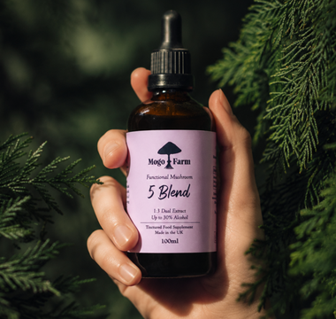 Why Is Mogo Farm’s 5 Mushroom Blend the Best Mushroom Supplement for Everyday Wellness?