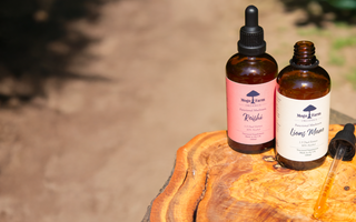 Biohacking Your Summer with Adaptogenic Mushrooms