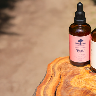 Biohacking Your Summer with Adaptogenic Mushrooms