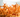 Cordyceps for Natural Energy: A Pre-Workout and Stress Buster for Parents Juggling It All