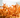 Cordyceps for Natural Energy: A Pre-Workout and Stress Buster for Parents Juggling It All