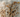 Mushroom Scams: What the Industry Doesn't Want You to Know