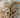 Mushroom Scams: What the Industry Doesn't Want You to Know