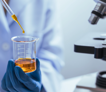 Mushroom Tincture Extractions: Why Dual Extraction Is the Gold Standard