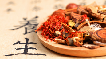 The Timeless Tradition of Mushrooms: A Global Perspective