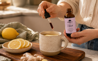 Are Liquid Mushroom Extracts Effective or Pointless? And Are They Safe to Take?