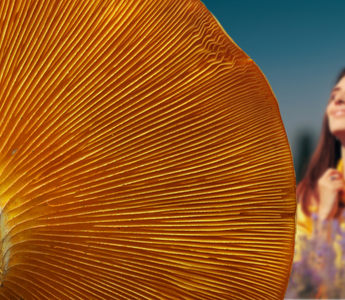 Fighting Low Vitamin D Levels With Natural Remedies