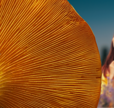 Fighting Low Vitamin D Levels With Natural Remedies