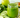 The Ultimate Guide to Using Mushroom Tinctures for Detoxification