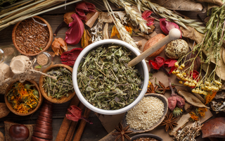 Herbal Medicine: Tradition, Science and Global Perspectives