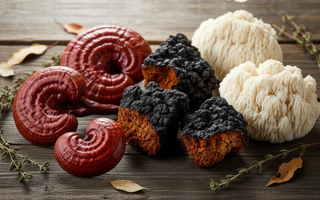 How To Take Mushroom Supplements For Best Effectiveness