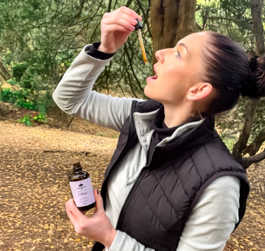 How To Take Mushroom Tinctures: Best Time, Dosage & Benefits