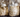 Mycelium Vs. Fruiting Body - Which Is The Best For Mushroom Supplements?