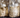Mycelium Vs. Fruiting Body - Which Is The Best For Mushroom Supplements?