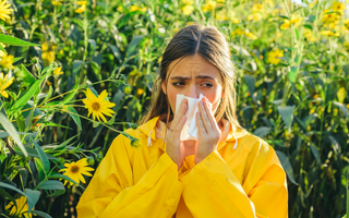 Spring Allergy Relief: Can Reishi Mushroom Help Reduce Inflammation?