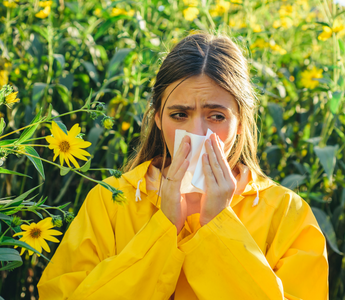 Spring Allergy Relief: Can Reishi Mushroom Help Reduce Inflammation?