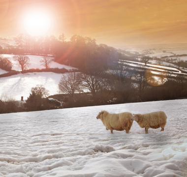 Top 3 Supplements and Vitamins to Take This Winter: Beat Fatigue, Increase Energy, and Boost Motivation