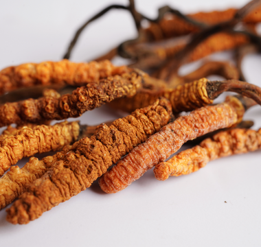 What are the health benefits of Cordyceps mushrooms?
