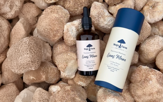 What are the health benefits of Lion’s Mane mushrooms?