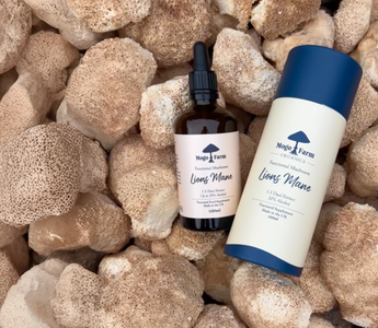 What are the health benefits of Lion’s Mane mushrooms?