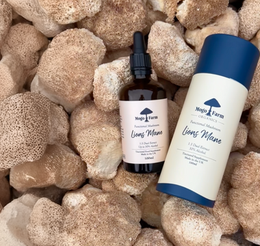 What are the health benefits of Lion’s Mane mushrooms?