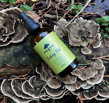 What Are The Health Benefits Of Turkey Tail Mushrooms?