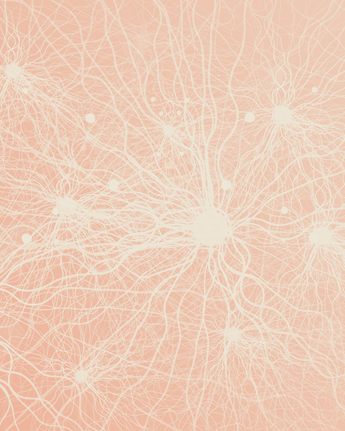 Neuron network