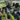 arial photo of Mogo farm in Derbyshire in the Peak District