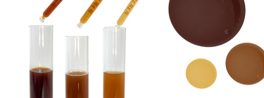 Three test tubes with different mushroom tinctures 