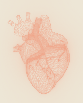 Illustration of cardiovascular health