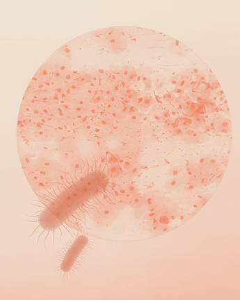 Microscopic bacteria