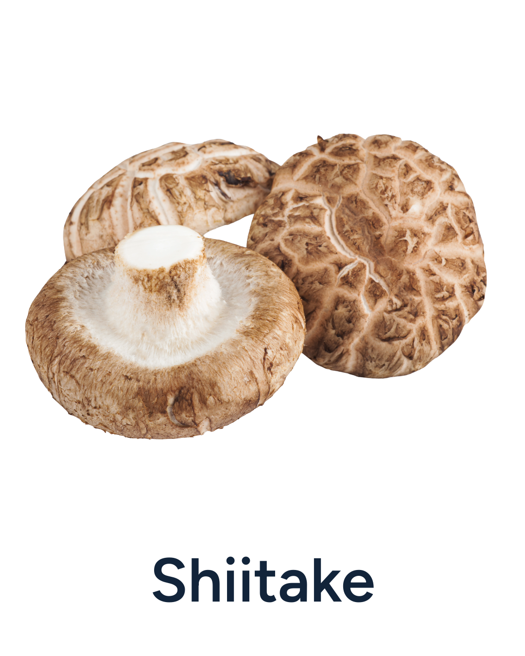Three shiitake mushrooms on a white background with 'Shiitake' text below.