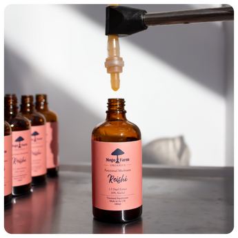 Reishi mushroom tincture being bottled at Mogo Farm