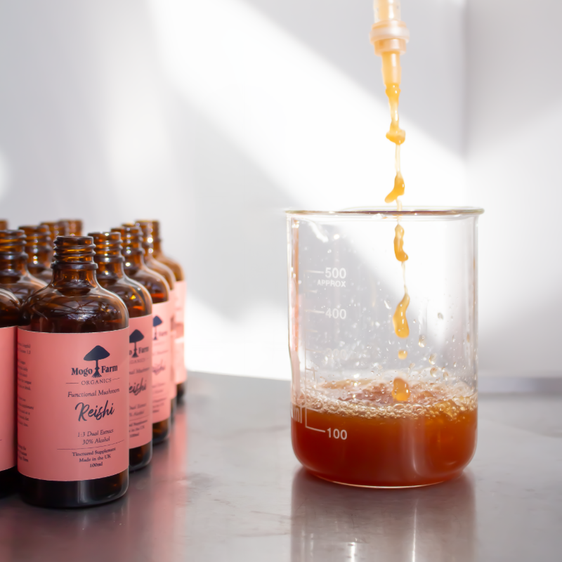 Mogo Farm Reishi mushroom tincture bottled on the farm 